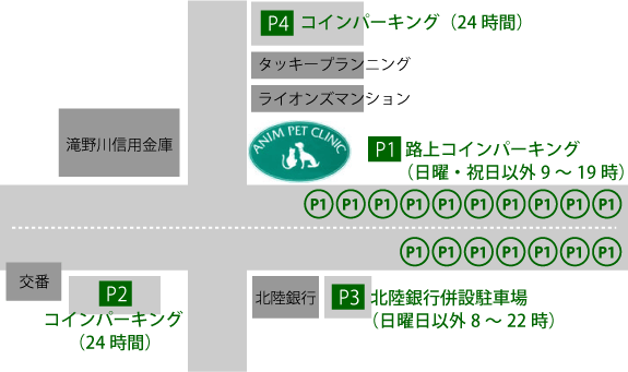 文京区・豊島区・千代田区の動物病院　アニムペットクリニック